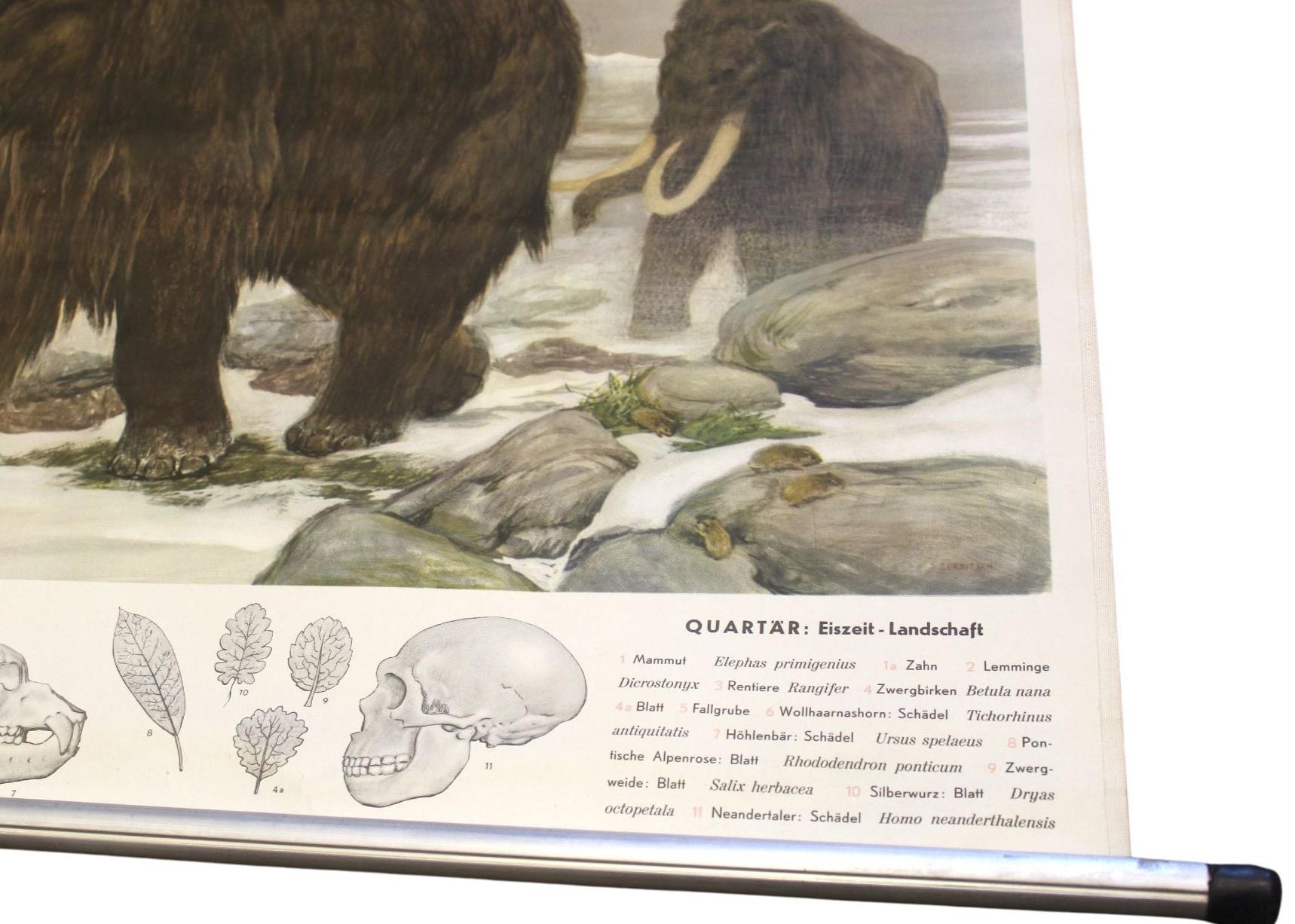 1955 „Quaternary: Ice-Age Landscape“ Wolle Mammoth Vintage Wandbehang  im Angebot 1