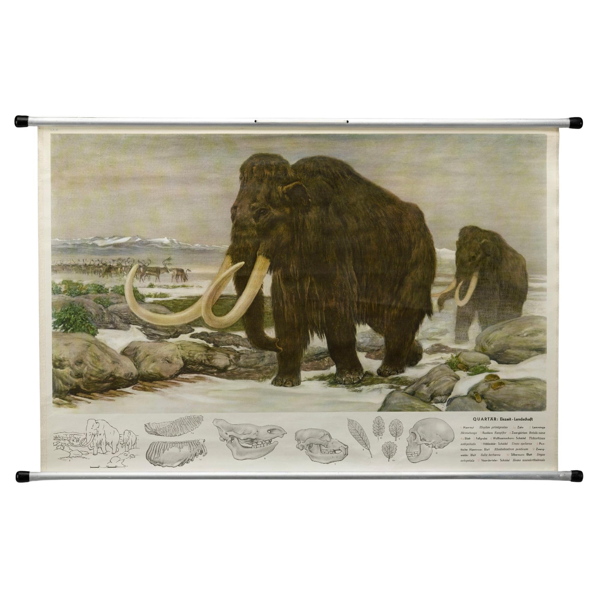 1955 „Quaternary: Ice-Age Landscape“ Wolle Mammoth Vintage Wandbehang  im Angebot