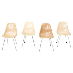 1955 Set of Four Herman Miller Eames Fiberglass DSX Chairs