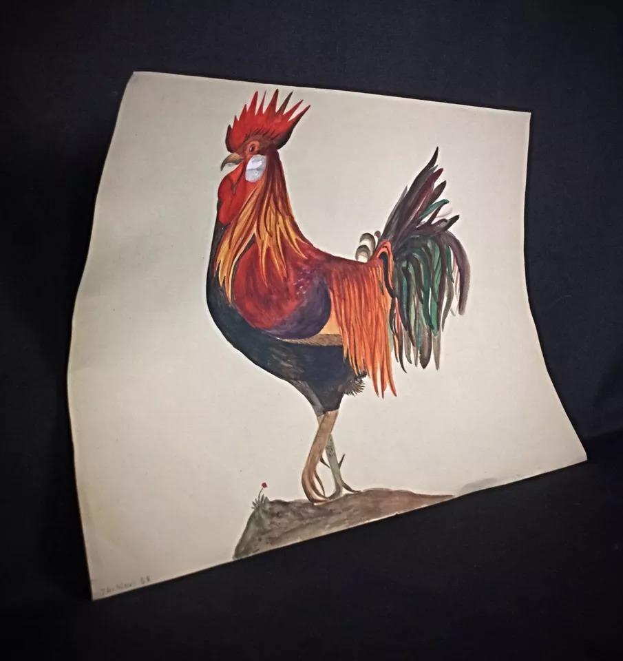 Nature morte au coq à l'aquarelle de 1958 par J. René Rommel - Signée  - 2Y292 Bon état - En vente à Bordeaux, FR
