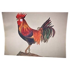 Nature morte au coq à l'aquarelle de 1958 par J. René Rommel - Signée  - 2Y292