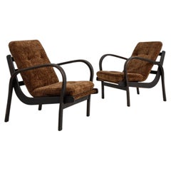1960-1969 Repubblica Ceca - Coppia di poltrone scultoree color marrone espresso intenso