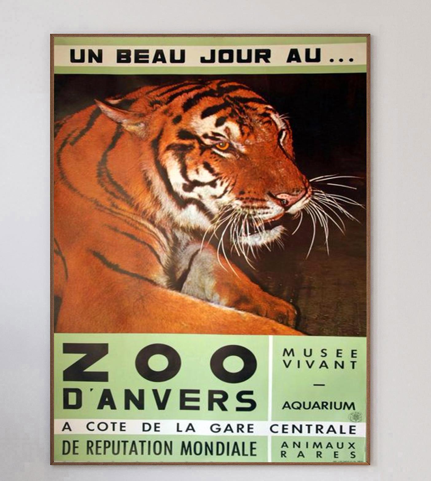 Beautiful & charming poster promoting the Antwerp Zoo. Created in 1960 and reading 