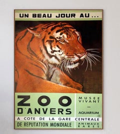1960 Antwerp Zoo Tiger Original Vintage Poster