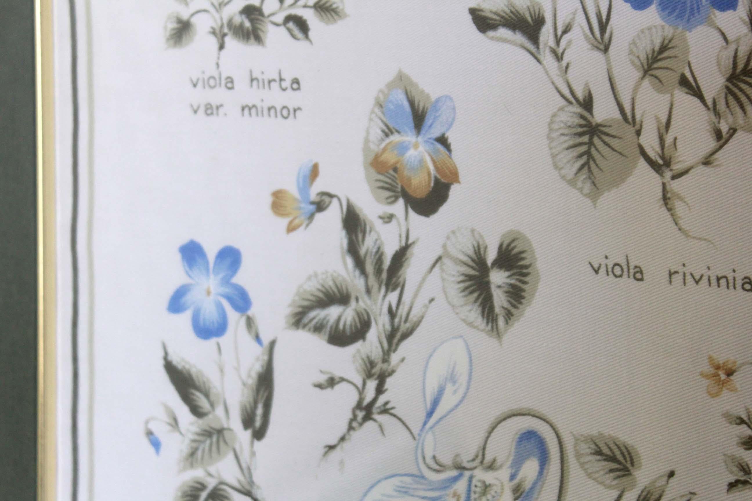 Violets Flowers Chart wall Poster , Italy 1960s For Sale 3