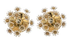 Coppia di applique da parete in ottone placcato oro e cristallo di Palwa, 1960