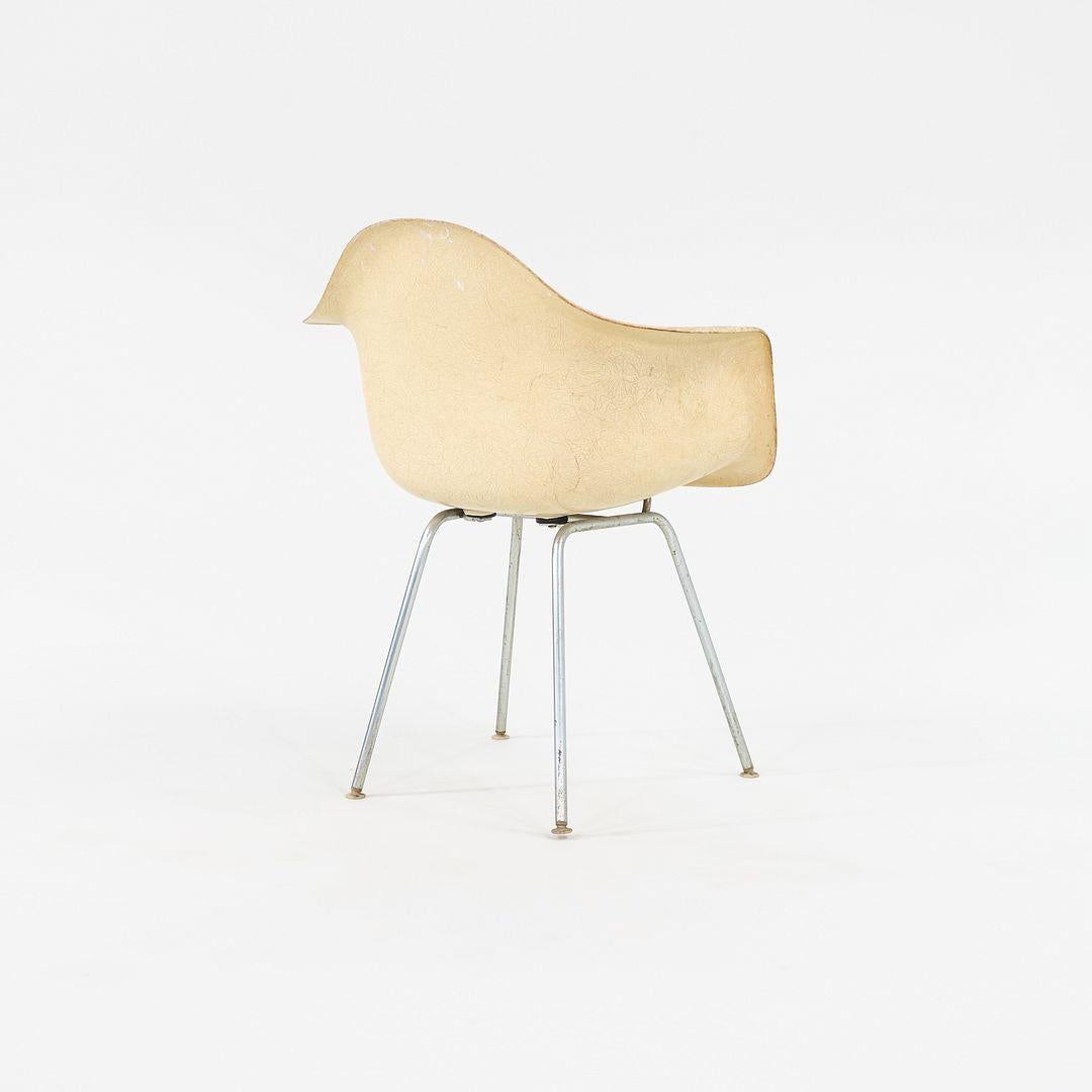 Moderno 1960 Herman Miller Eames DAX Dining Arm Shell Chair in fibra di vetro pergamena in vendita