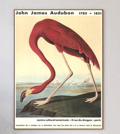 1960 John James Audubon - Fenicottero americano Poster d'epoca originale