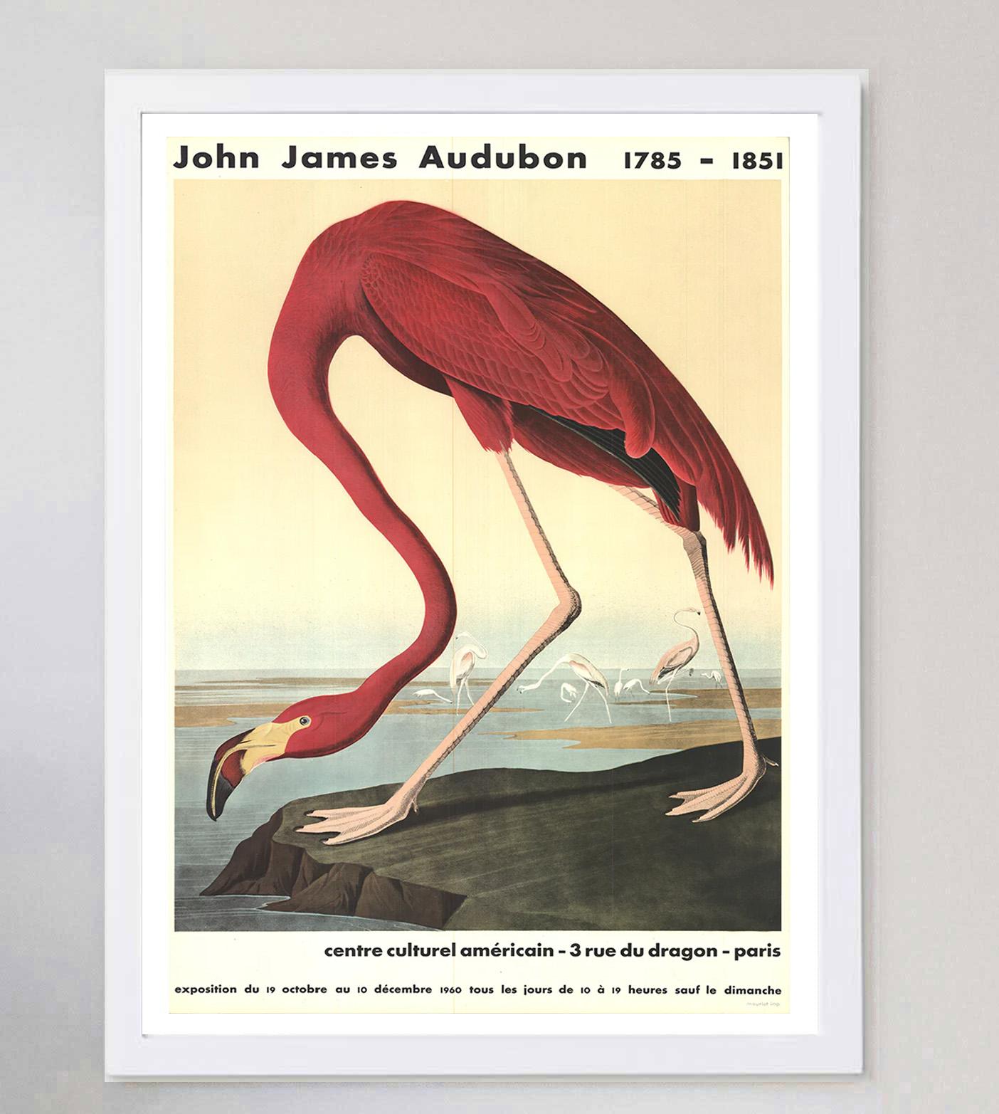 1960 John James Audubon - Flamenco americano Póster original de época en Bueno estado para la venta en Winchester, GB