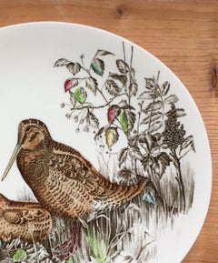 1960 Oval Porcelain English Plate by Johnson Brothers Woodcock Hand Painted