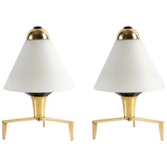 1960 Pair of Wall Lights Inspired by the Lily of the Valley Flower by Stilnovo
