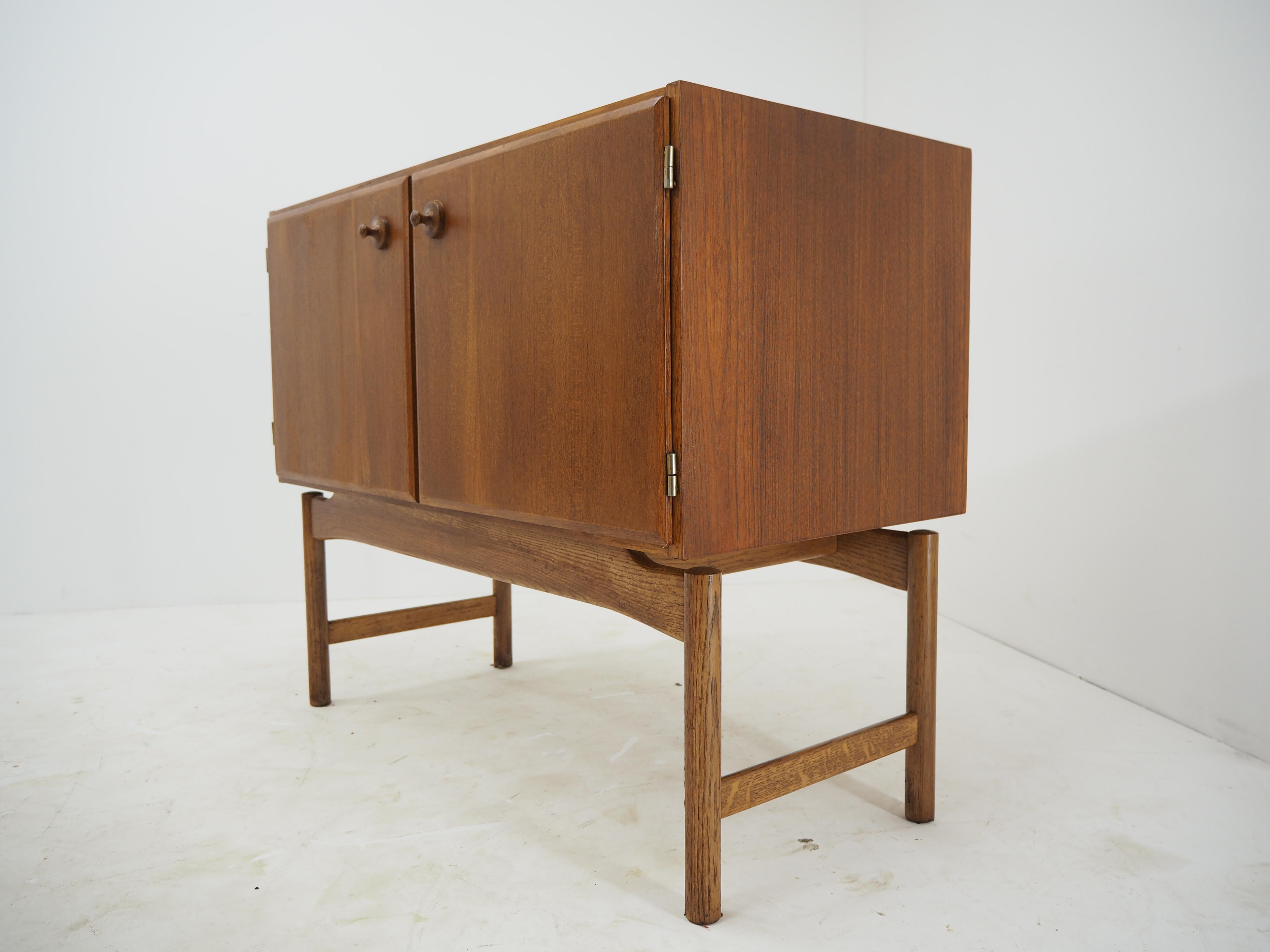 Mid-20th Century 1960 Rare Teak and Oak Cabinet by Krasna Jizba, Czechoslovakia For Sale