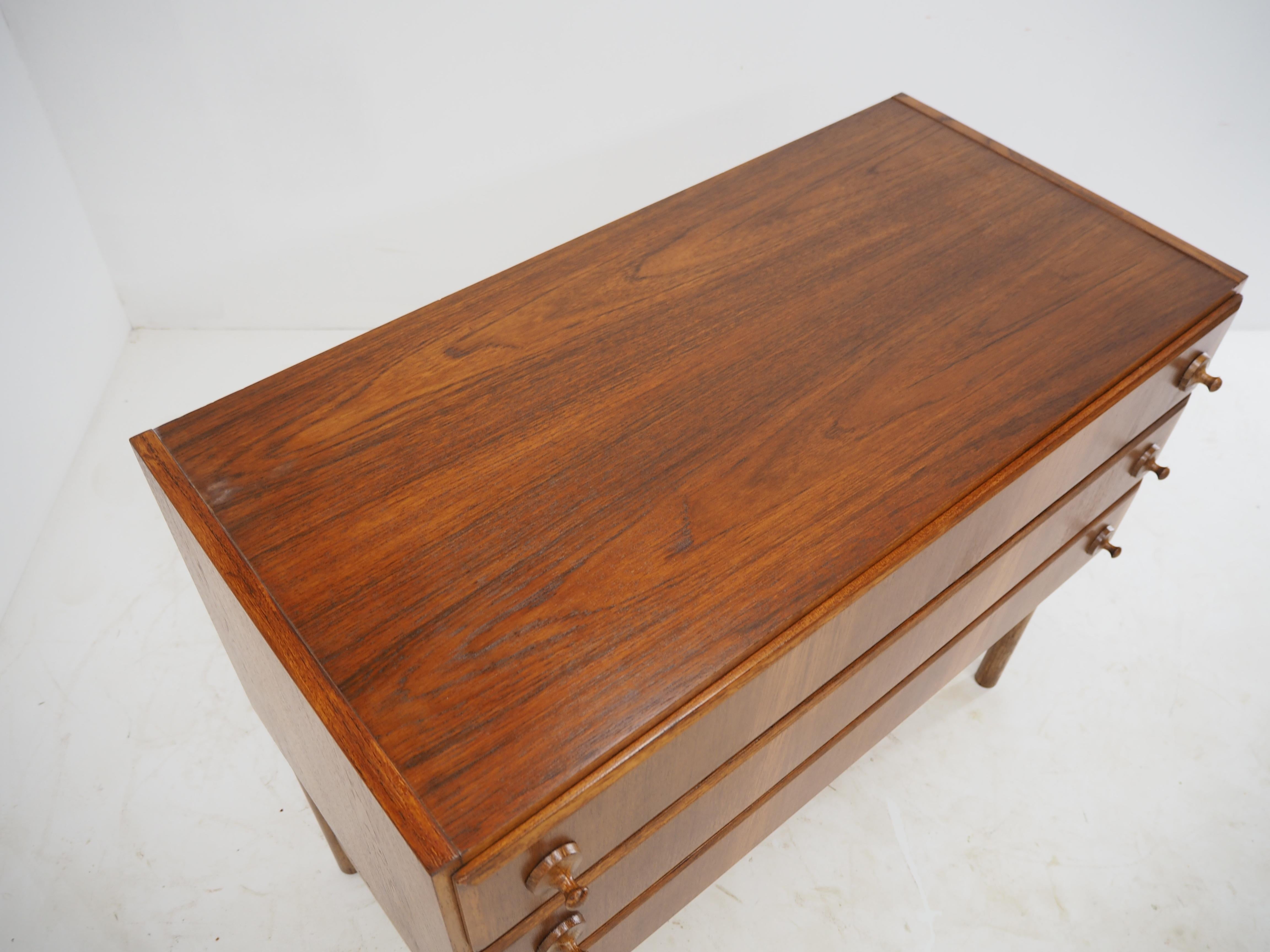 1960 Rare Teak and Oak Chest of Drawers by Krasna Jizba, Czechoslovakia For Sale 4