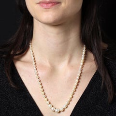 1960s 18 Karat Yellow Gold Clasp Cultured Pearl Necklace