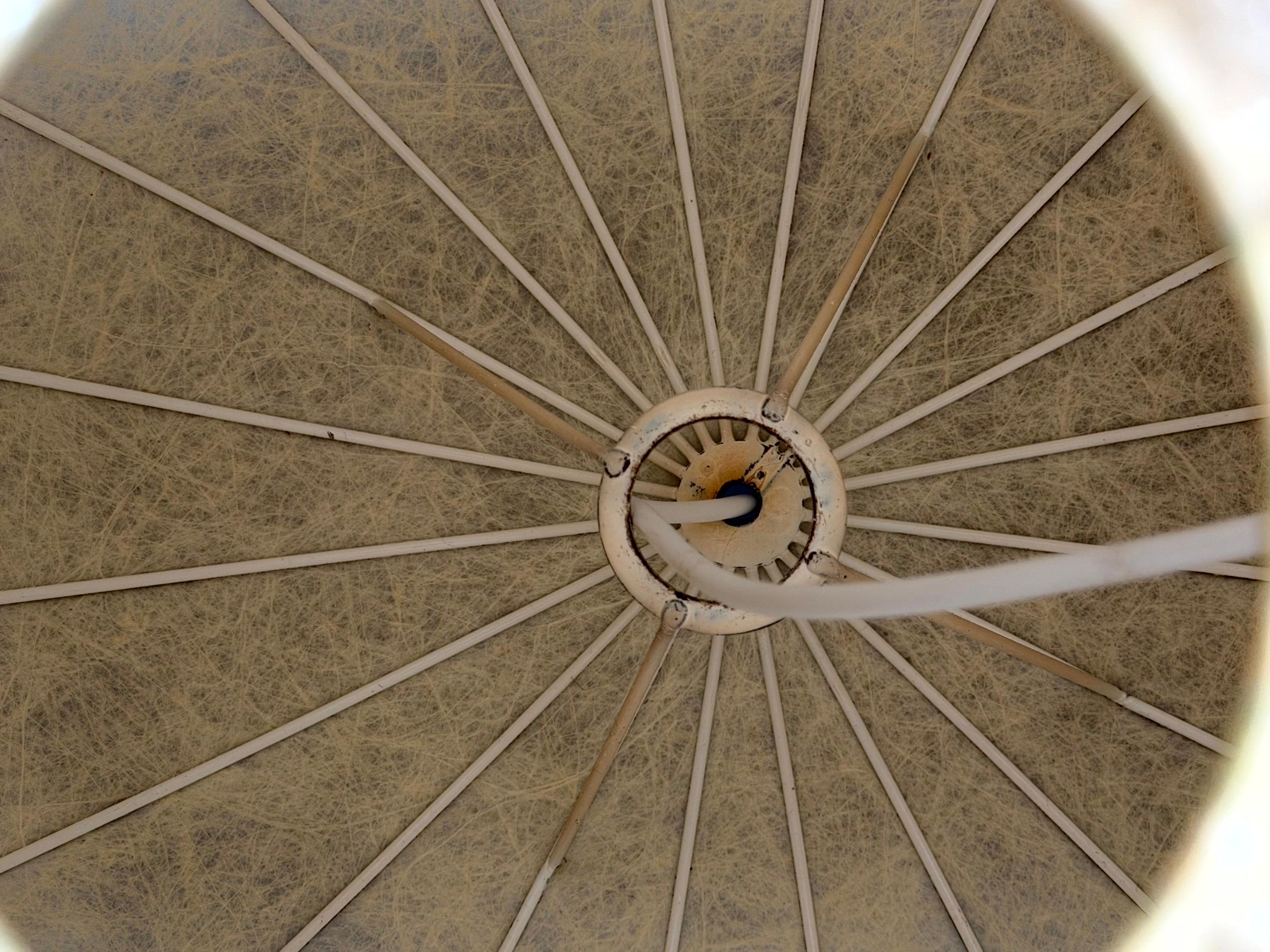 1960s 1970s Cocoon Ceiling Lamp Globe Lamp 