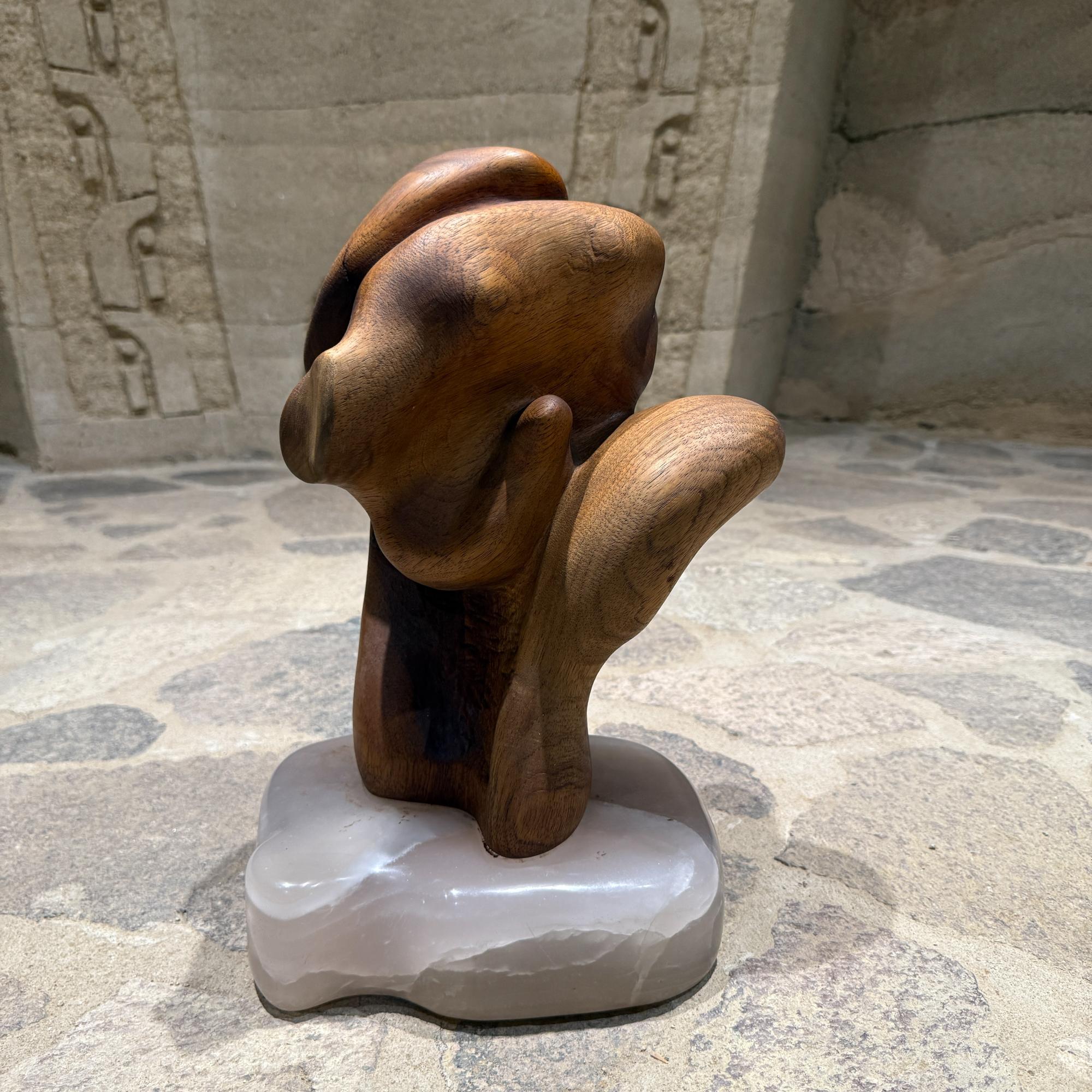 1960 Escultura abstracta orgánica de madera translúcida con base de piedra en venta 4