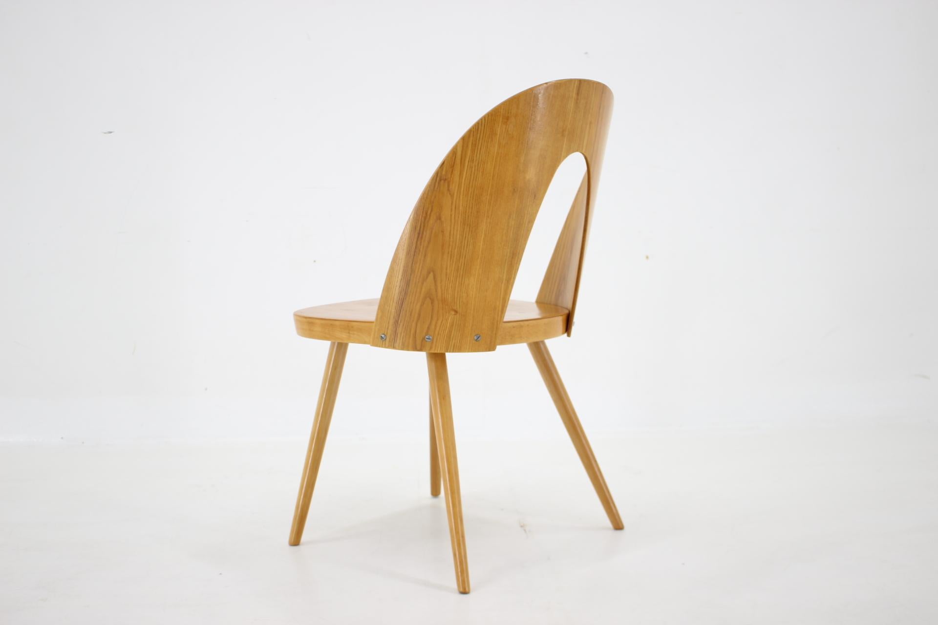 1960s Antoni Suman Chair in Walnut, Czechoslovakia For Sale 1