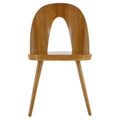1960s Antoni Suman Chair in Walnut, Czechoslovakia