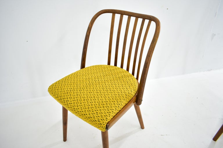 1960s Antonin Suman Beech Dining Chairs, Set of 4 For Sale 4