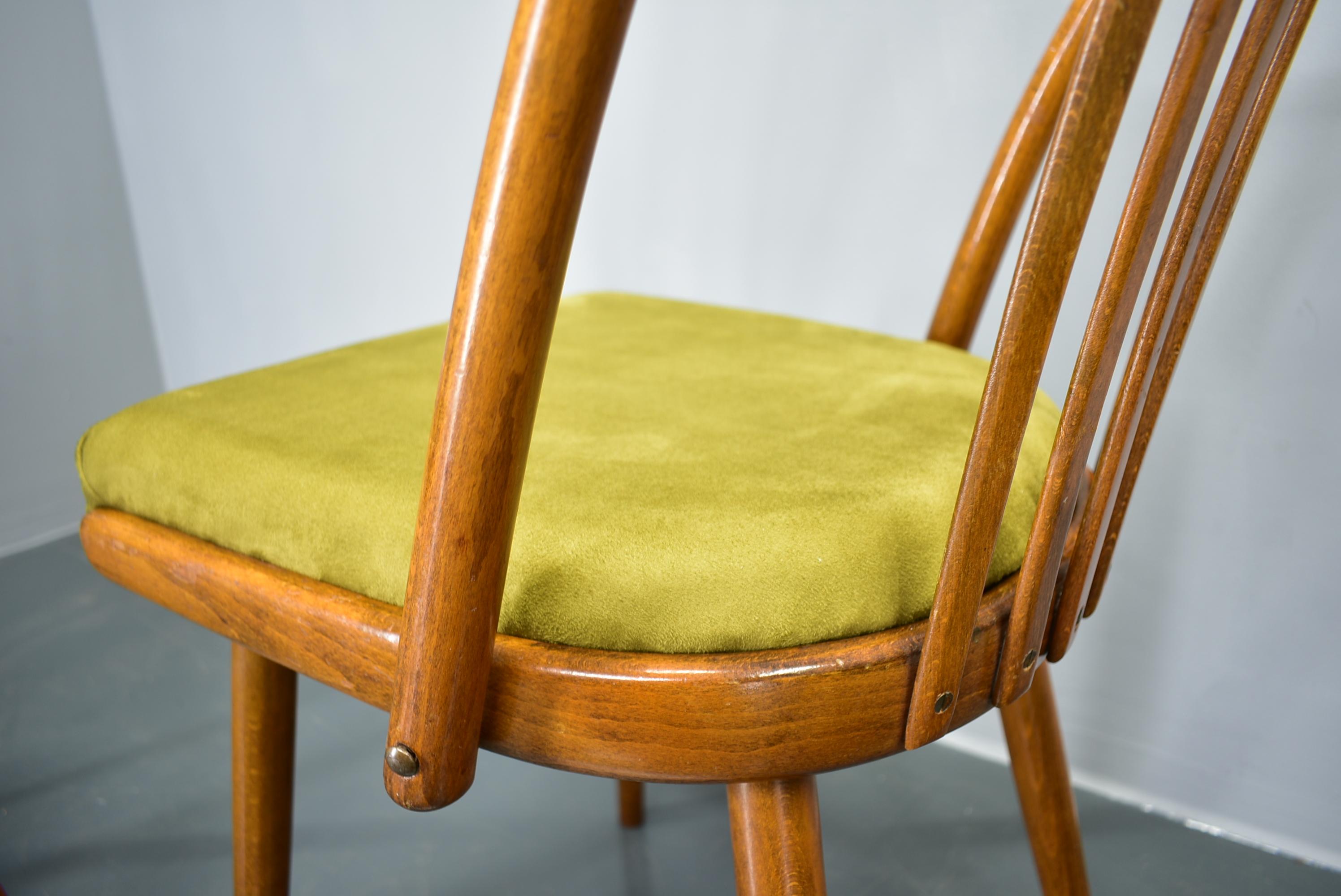 Juego de 4 sillas de comedor de haya Antonin Suman, años 60 en venta 5