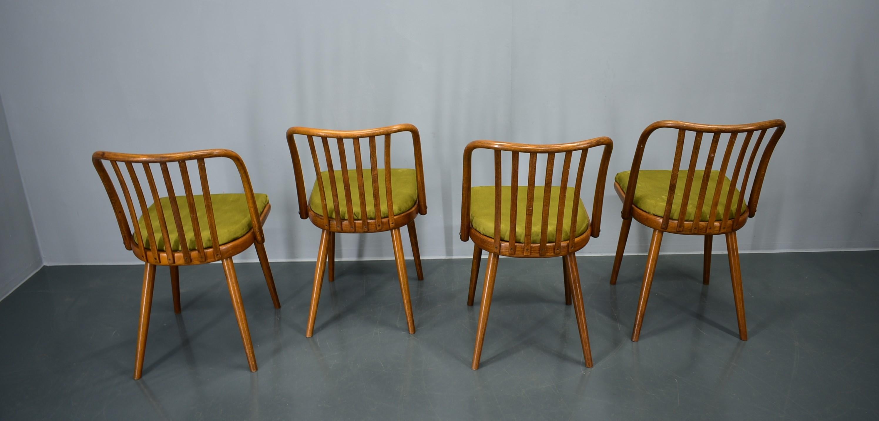 Juego de 4 sillas de comedor de haya Antonin Suman, años 60 en venta 6