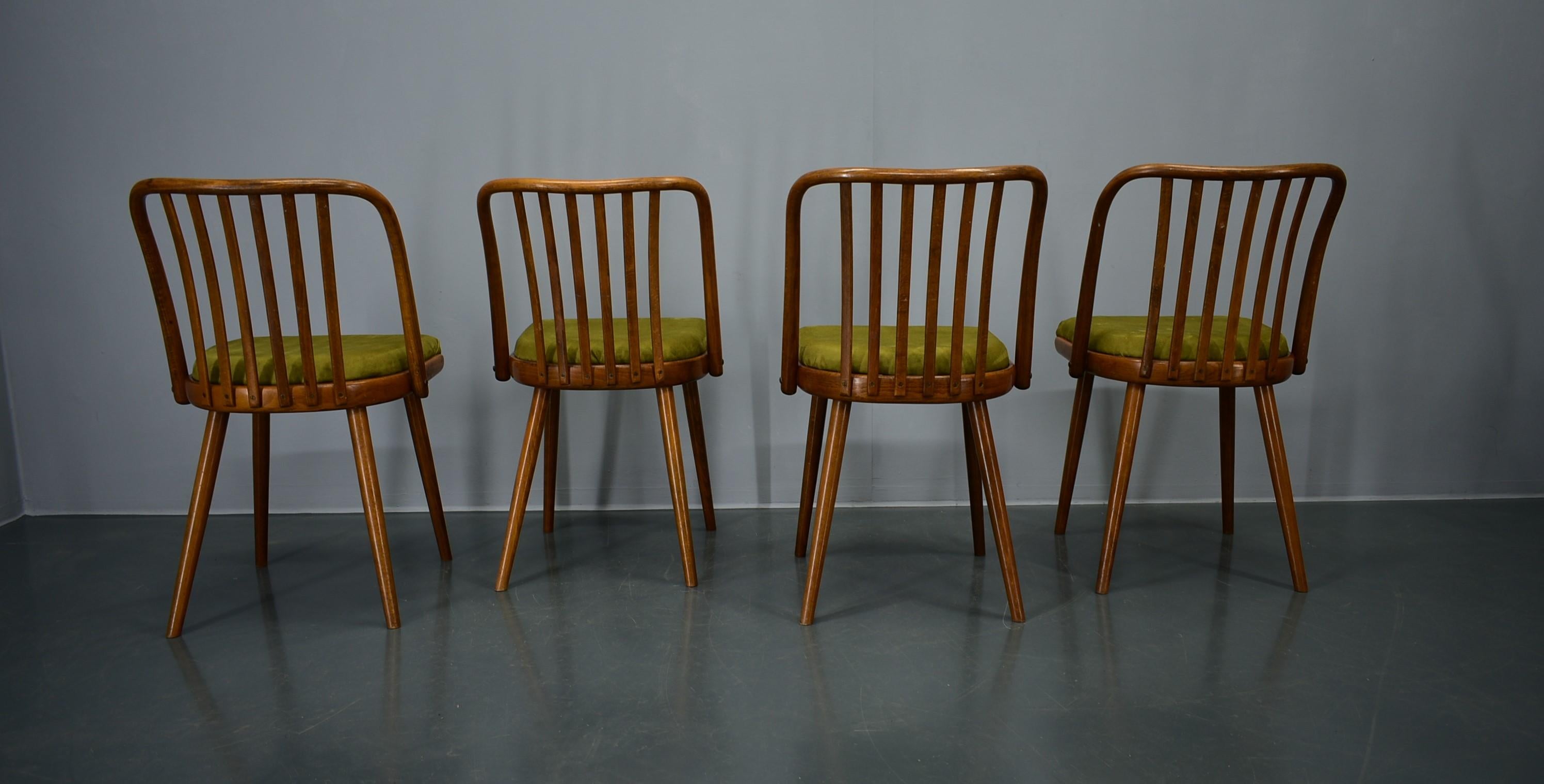Juego de 4 sillas de comedor de haya Antonin Suman, años 60 en venta 7