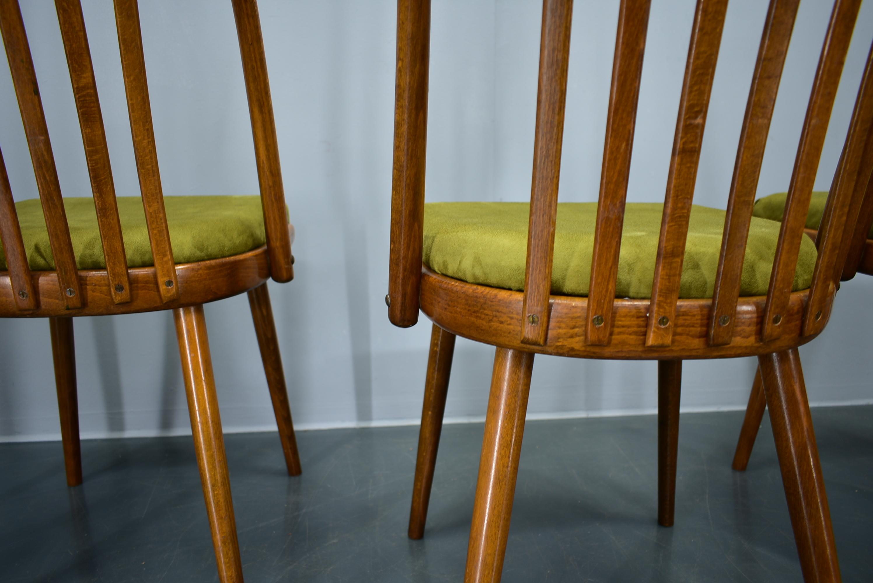 Juego de 4 sillas de comedor de haya Antonin Suman, años 60 en venta 8