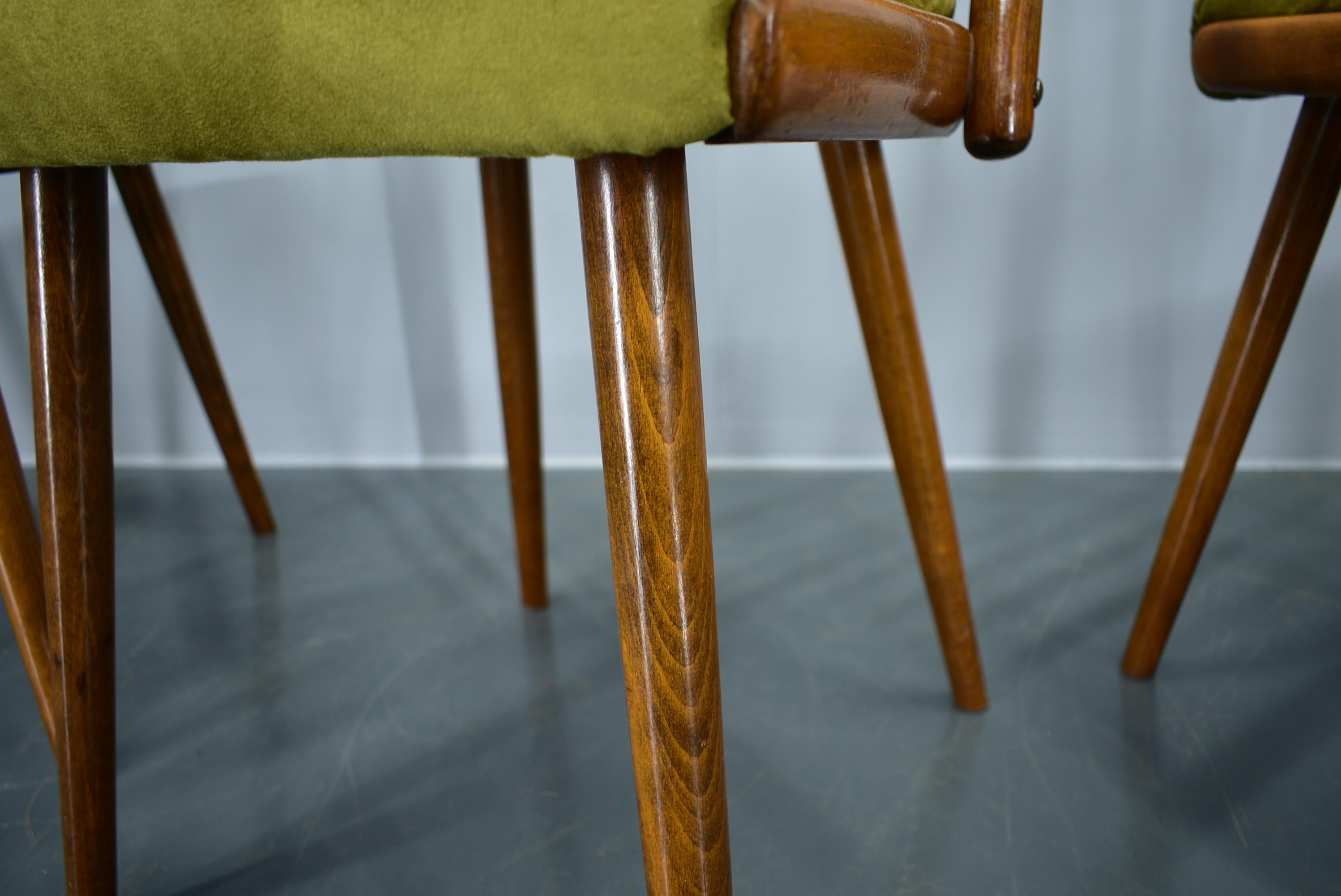 Juego de 4 sillas de comedor de haya Antonin Suman, años 60 en venta 11