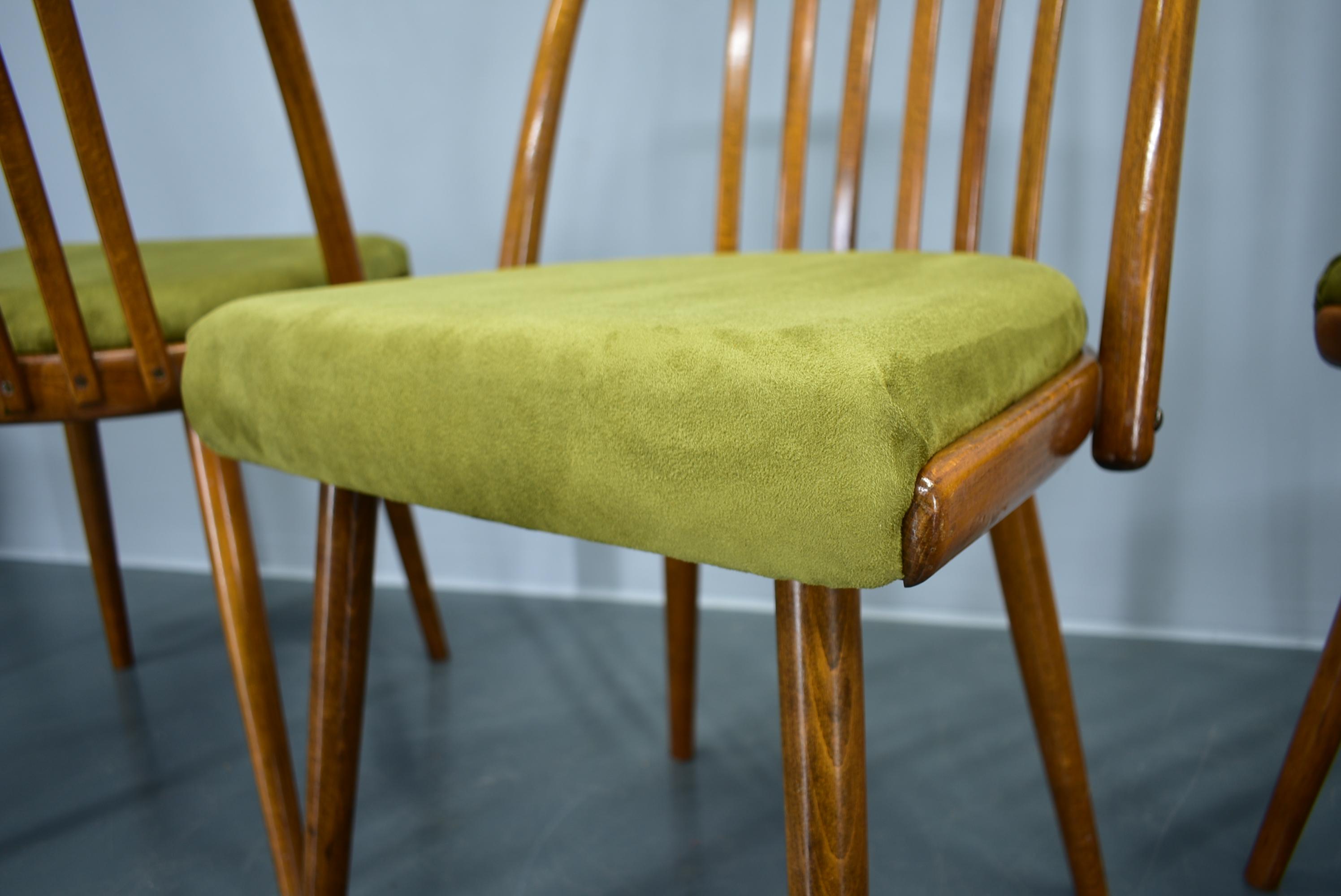 Juego de 4 sillas de comedor de haya Antonin Suman, años 60 en venta 12