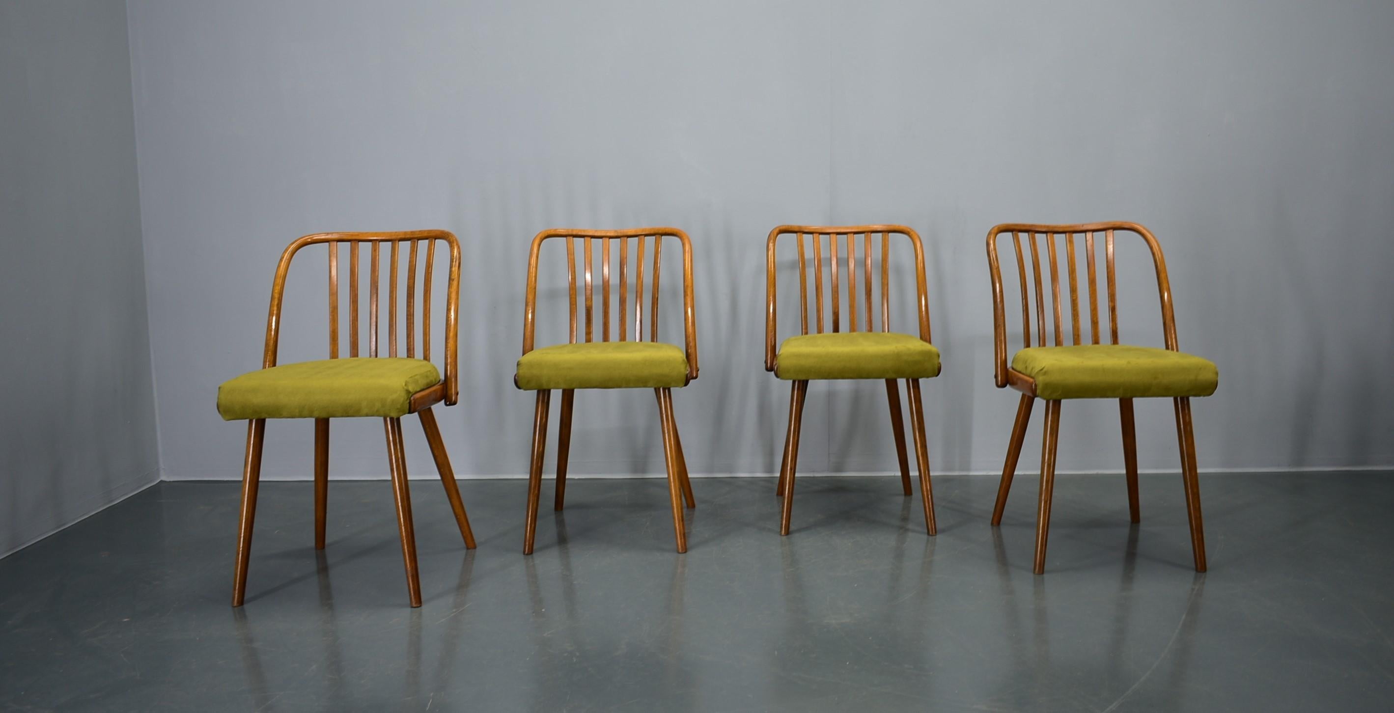 Juego de 4 sillas de comedor de haya Antonin Suman, años 60 Moderno de mediados de siglo en venta