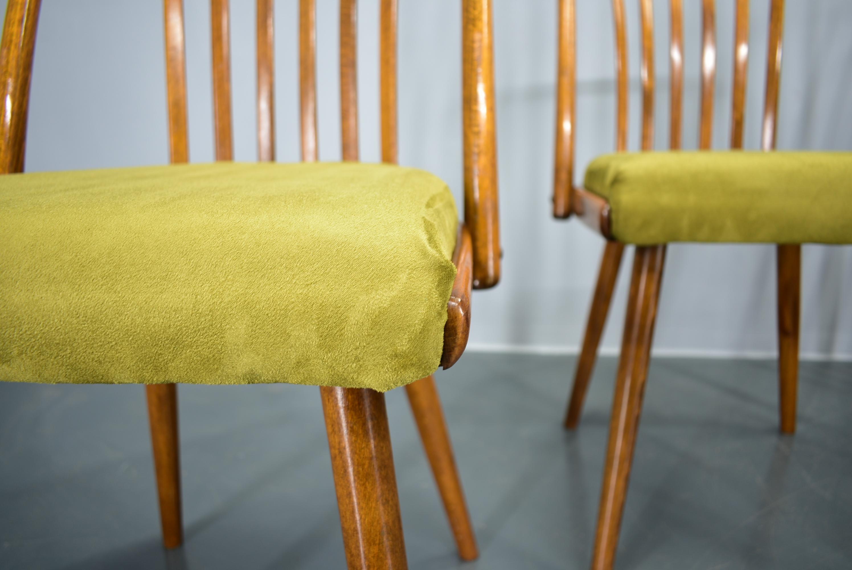 Juego de 4 sillas de comedor de haya Antonin Suman, años 60 mediados del siglo XX en venta