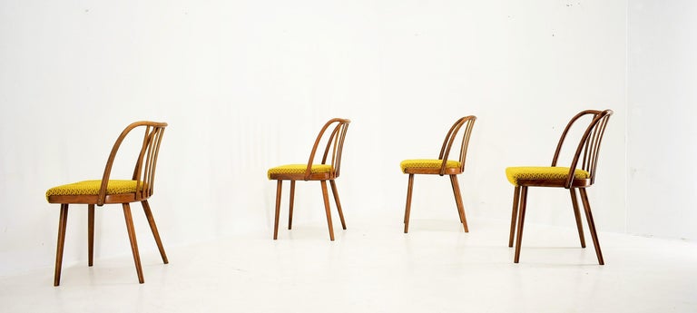 1960s Antonin Suman Beech Dining Chairs, Set of 4 For Sale 1