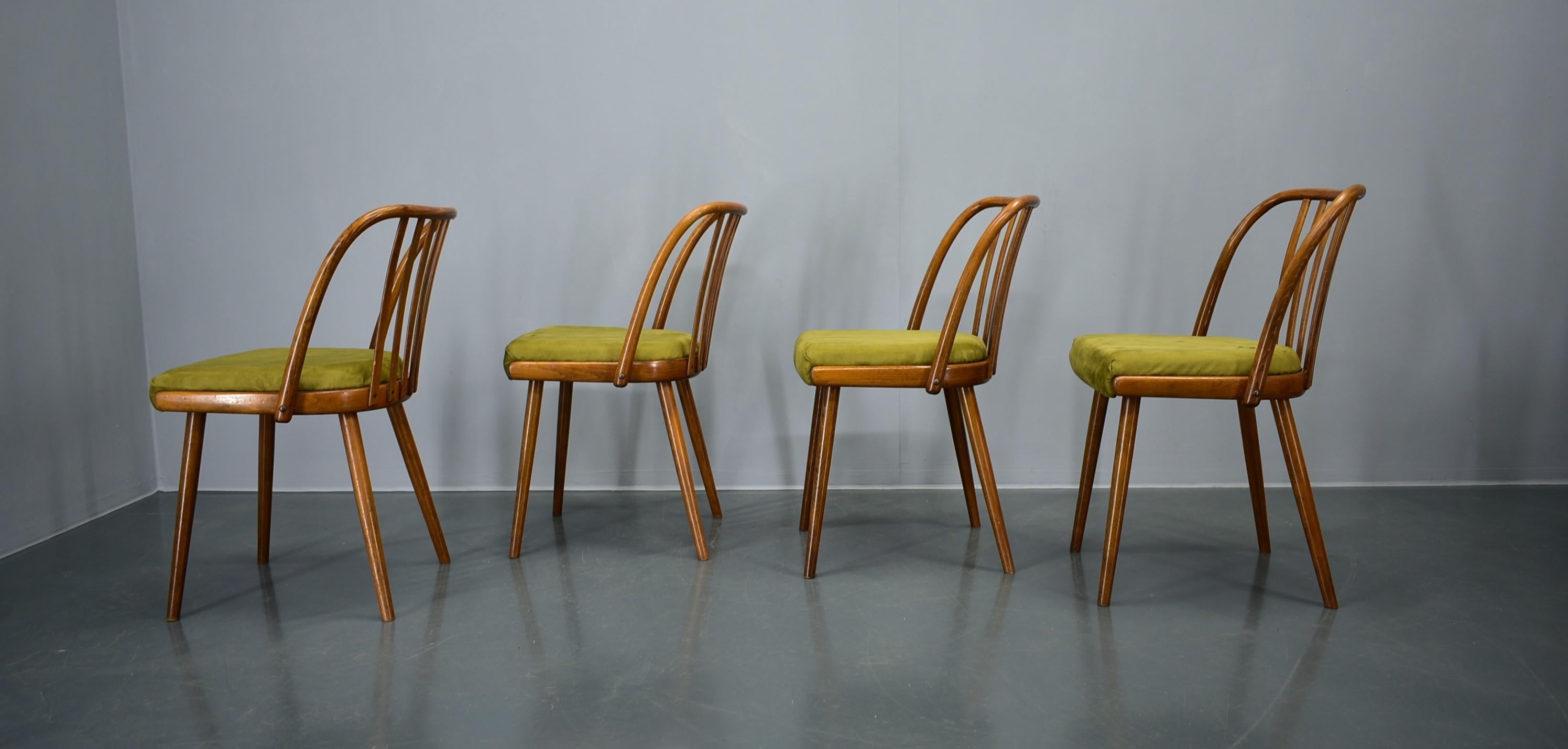 Juego de 4 sillas de comedor de haya Antonin Suman, años 60 en venta 1