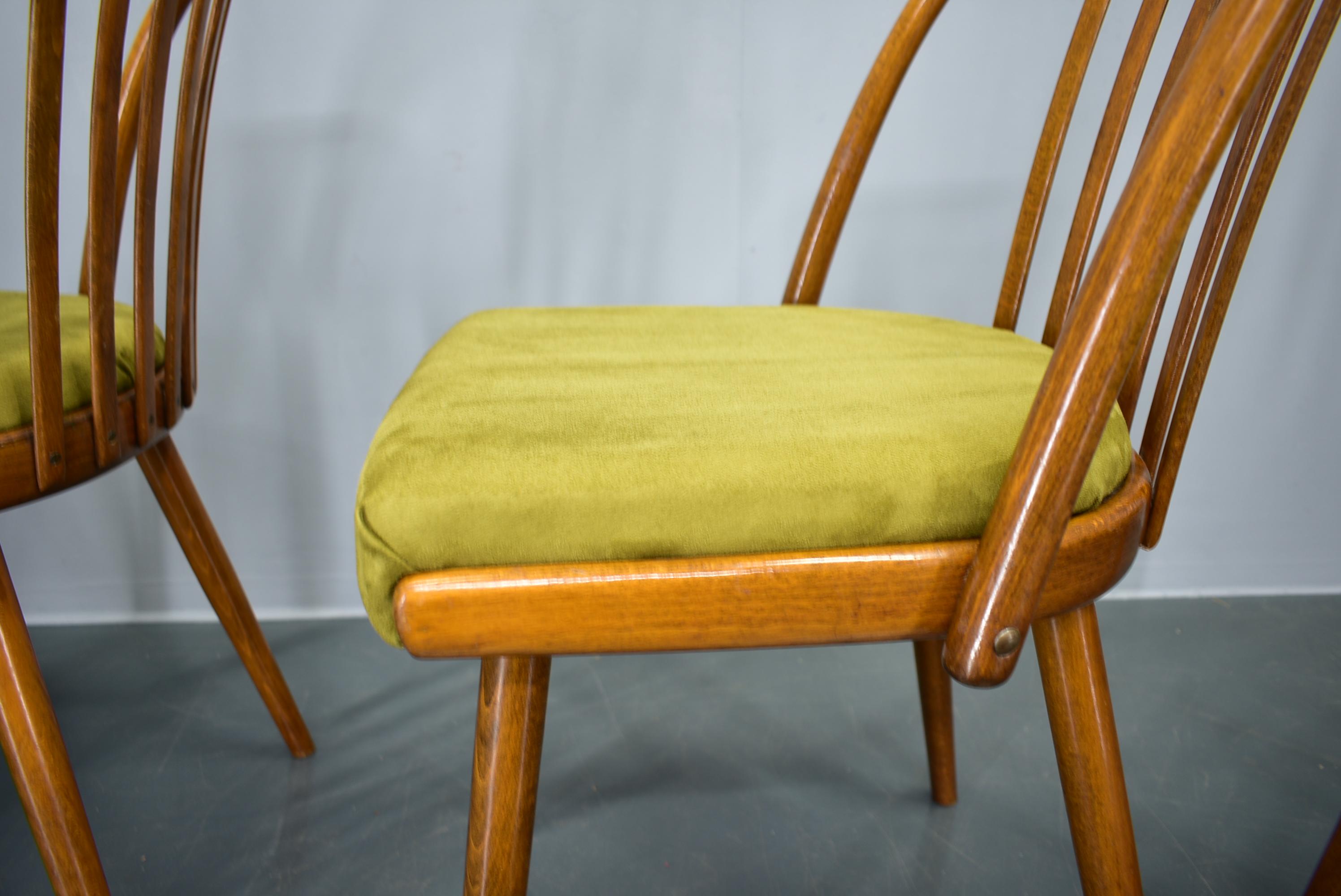 Juego de 4 sillas de comedor de haya Antonin Suman, años 60 en venta 2
