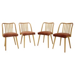Chaises de salle à manger en hêtre Antonin Suman, 1960, lot de 4