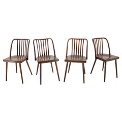 1960s Antonin Suman Beech Dining Chairs, Set of 6