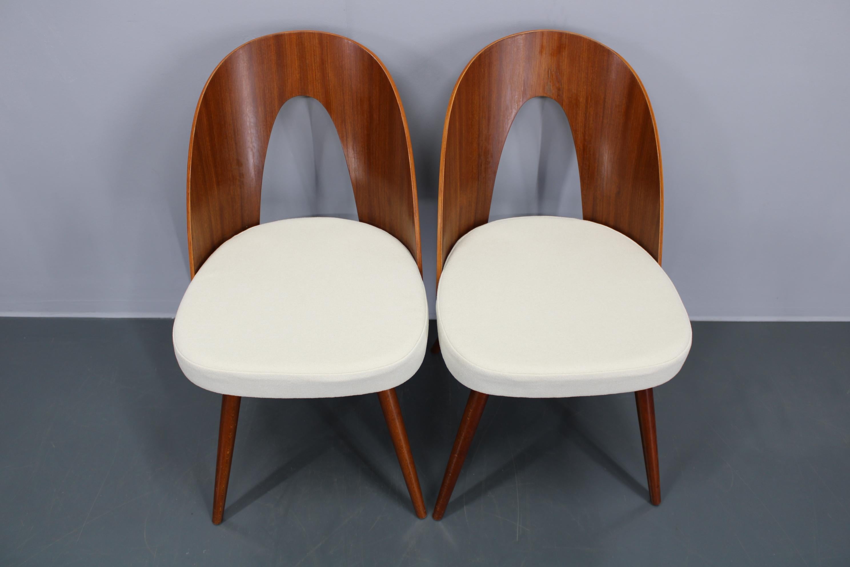 Antonin Suman 1960er Jahre, Paar restaurierte Stühle in Nussbaum-Finish, Antonin Suman im Angebot 3
