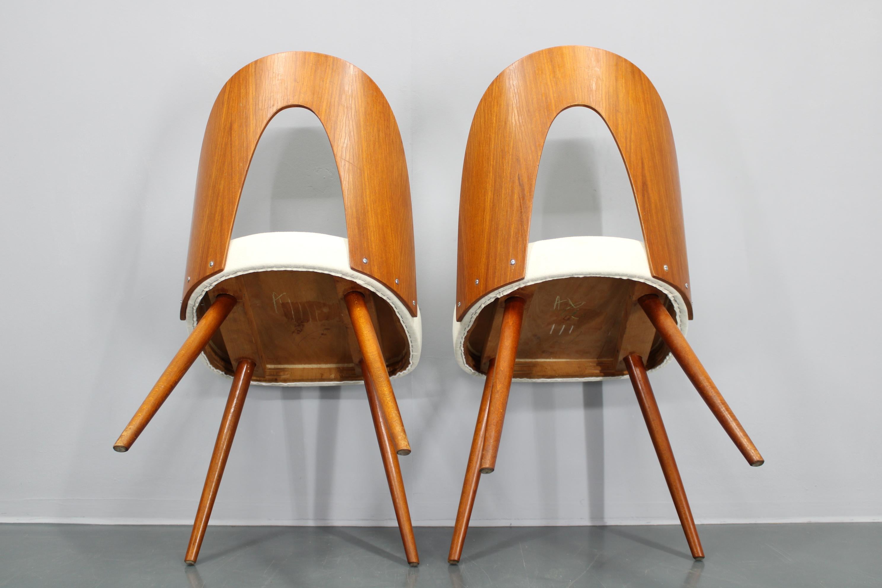 Antonin Suman 1960er Jahre, Paar restaurierte Stühle in Nussbaum-Finish, Antonin Suman im Angebot 9