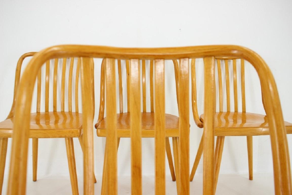 1960s Antonin Suman Set of Four Beech Dining Chairs, Czechoslovakia 12