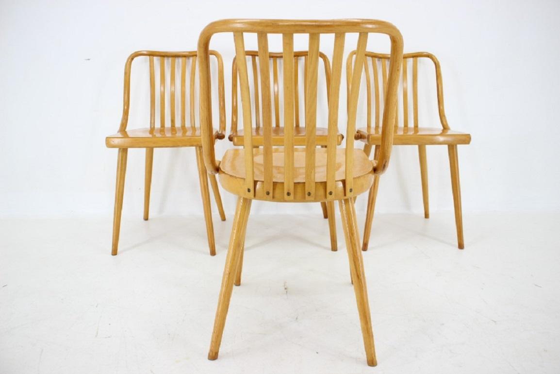 1960s Antonin Suman Set of Four Beech Dining Chairs, Czechoslovakia 4
