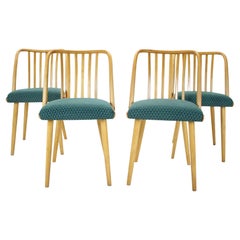 1960s Antonin Suman Set of Four Dining Chairs, Czechoslovakia