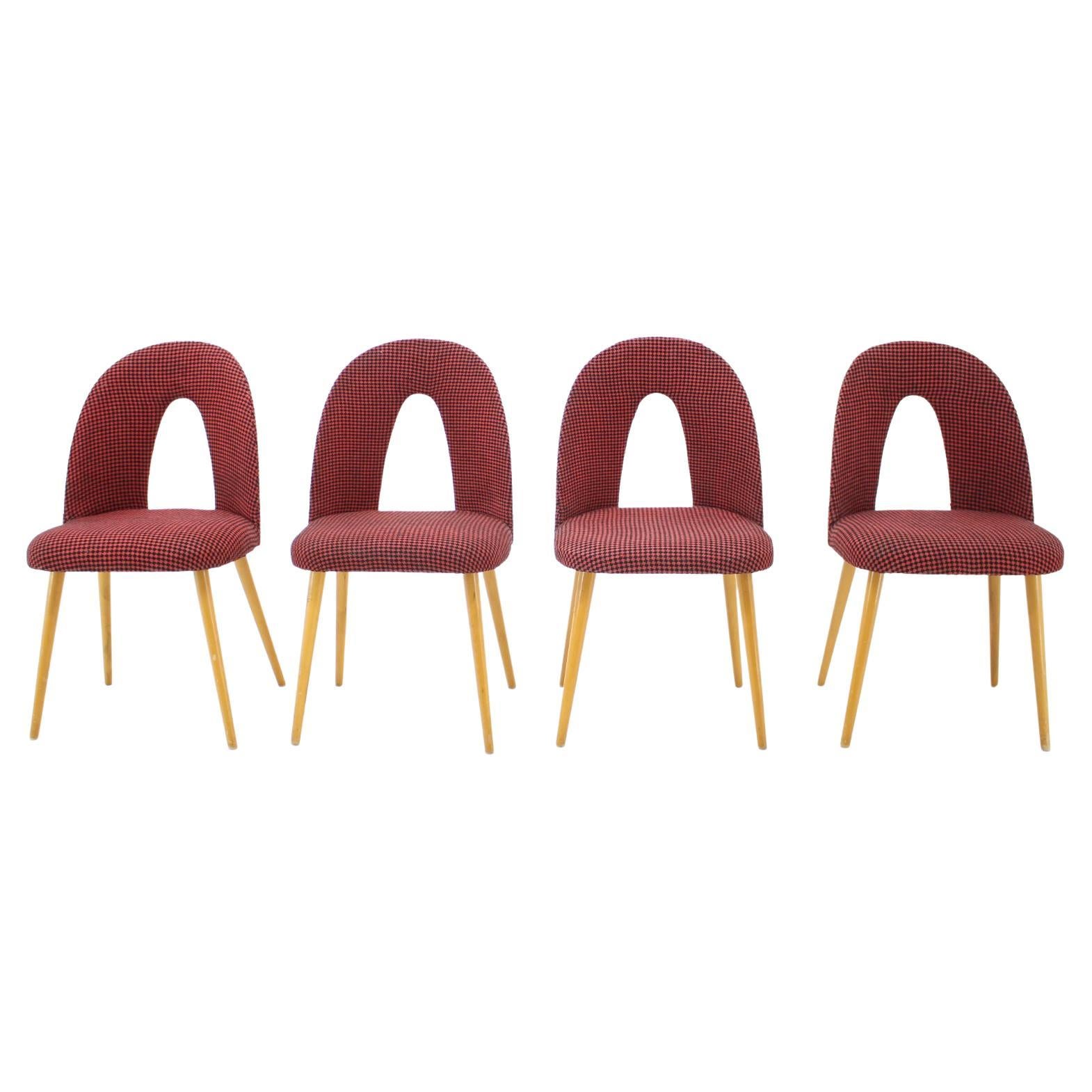 1960s Antonin Suman Set of Four Dining Chairs, Czechoslovakia For Sale