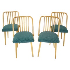 1960s Antonin Suman Set of Four Dining Chairs, Czechoslovakia