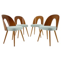 antonin suman chairs 1960s Antonin Suman Set of Four Dining Chairs, Czechoslovakia