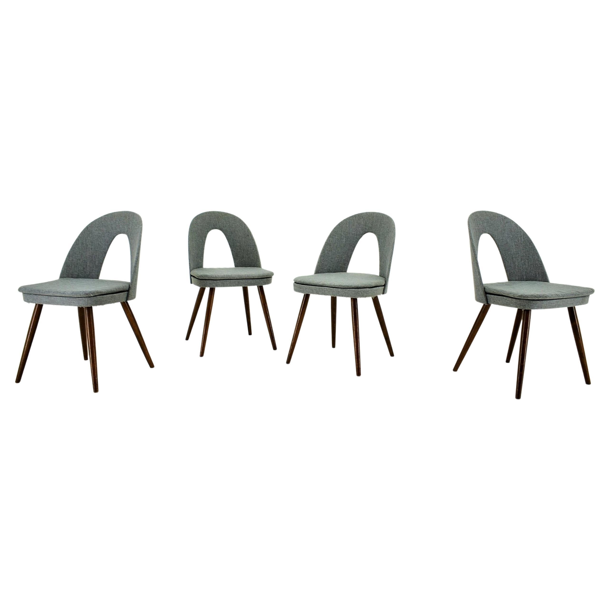 1960s Antonin Suman Set of Four Dining Chairs, Czechoslovakia For Sale