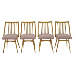 1960s Antonin Suman Set of Four Dining chairs in Beech Wood , Czechoslovakia