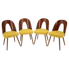 1960s Antonin Suman Set of Four Dining Chairs in Walnut Finish, Czechoslovakia