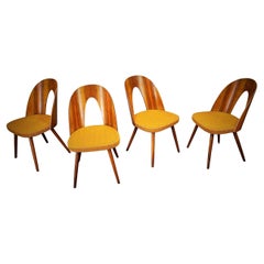 1960 Antonin Suman Ensemble de quatre chaises de salle à manger en finition noyer, Tchécoslovaquie