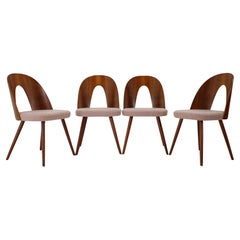 1960s Antonin Suman Set Of Four Dining Chairs in Walnut Veneer, Czechoslovakia