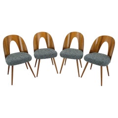 1960s Antonin Suman Set of Four Walnut Dining Chairs, Czechoslovakia
